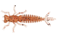 Купить Мягк.приманки LureMax KARAKATITSA 3''/7,5 см, 007 - Ebimiso Oil (6шт) арт. LSKK3-06-007